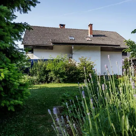 Cosy & Spacious Apt. Benc Zirovnica