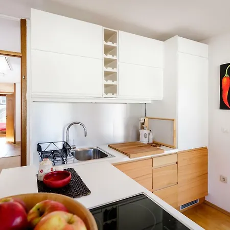 Cosy & Spacious Apt. Benc * Zirovnica
