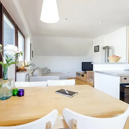Cosy & Spacious Apt. Benc Zirovnica